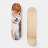 Skateboard Poderoso perro Akita japonés sentado スケートボード (正面)