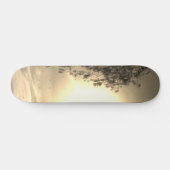 skateboard style and design スケートボード (横)