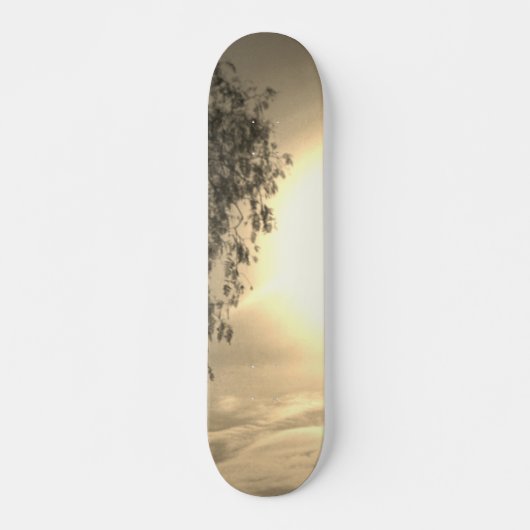 skateboard style and design スケートボード (正面)