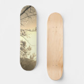 SKATEBOARD STYLE AND DESIGN スケートボード (正面)