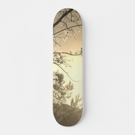 SKATEBOARD STYLE AND DESIGN スケートボード (正面)