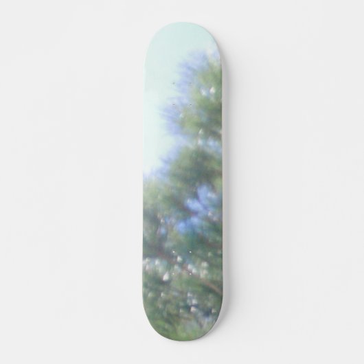 SKATEBOARD STYLE AND DESIGN スケートボード (正面)