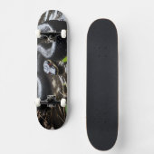 Skateboard with black anaconda スケートボード (正面)