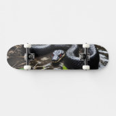 Skateboard with black anaconda スケートボード (横)