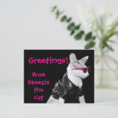 Skeezix猫の郵便はがき ポストカード (スタンド正面)