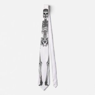 Skeleton 3D Model: Necktie / Tie ネクタイ