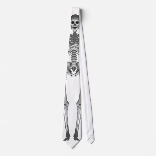 Skeleton 3D Model: Necktie / Tie ネクタイ (正面)