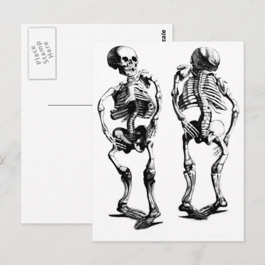 Skeleton Danceポストカード ポストカード (正面/裏面)