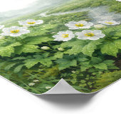 Skeleton Flower (Diphylleia grayi) – Art Print ポスター (角)