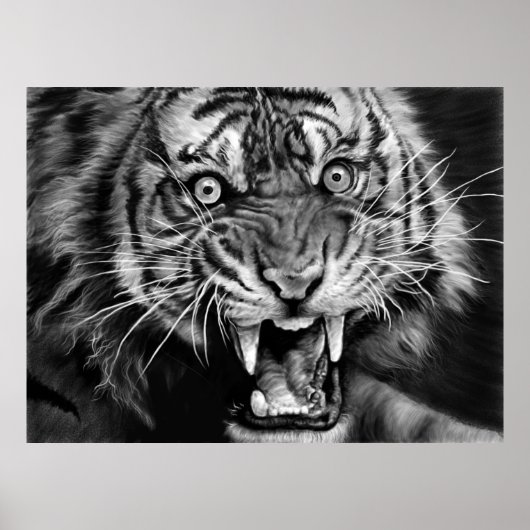 Sketch of a wild tiger in black and whiteblack,whi ポスター (正面)