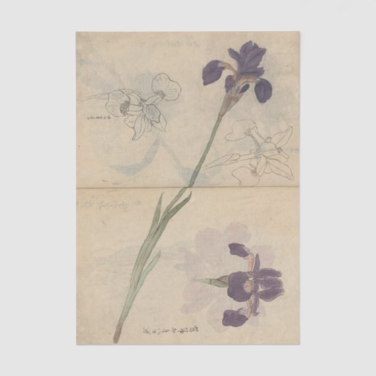 Sketchbook Pl. 085 by Ariyoshi Kondo 薄葉紙 (正面)