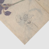 Sketchbook Pl. 085 by Ariyoshi Kondo 薄葉紙 (詳細)