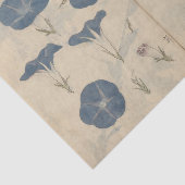 Sketchbook Pl.112近藤有義 薄葉紙 (詳細)