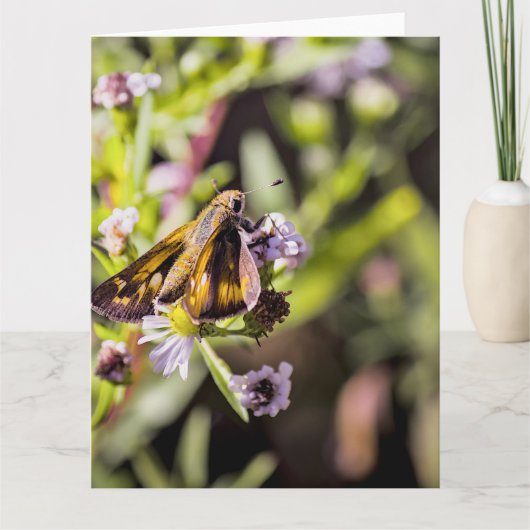 Skipper Butterfly カード (正面)