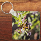 Skipper Butterfly キーホルダー (正面)
