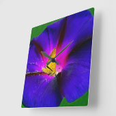 Skipper on Morning Glory  スクエア壁時計 (傾斜)
