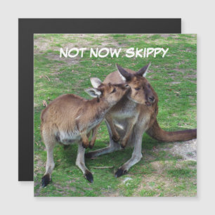 Skippy磁気カードなし