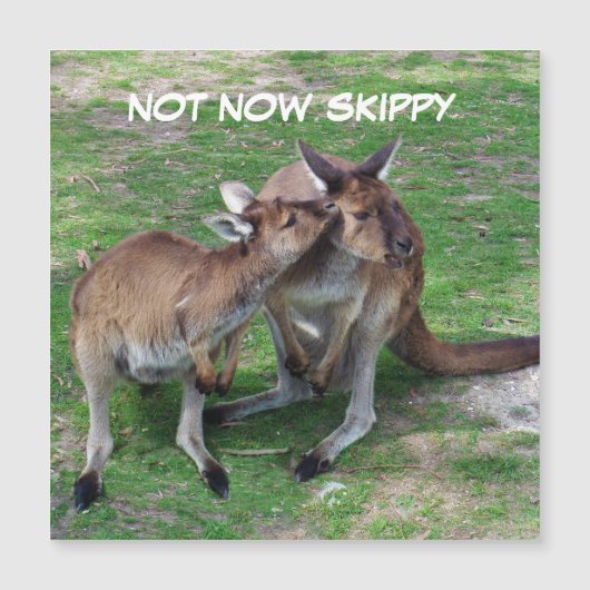 Skippy磁気カードなし (正面)