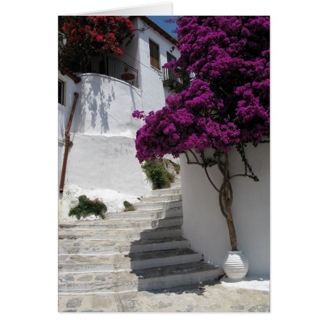 Skopelosギリシャ (正面)