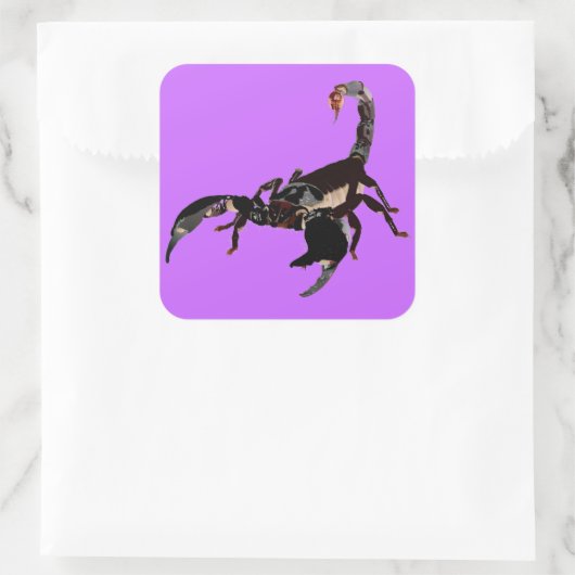 Skorpion Aufkleber スクエアシール (バッグ)