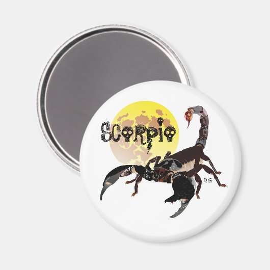 Skorpion Magnet マグネット (正面/裏面)