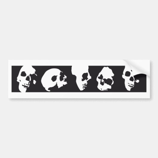 skull バンパーステッカー (正面)