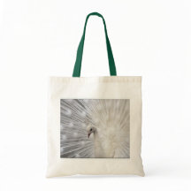 Skullyの上のおもしろい