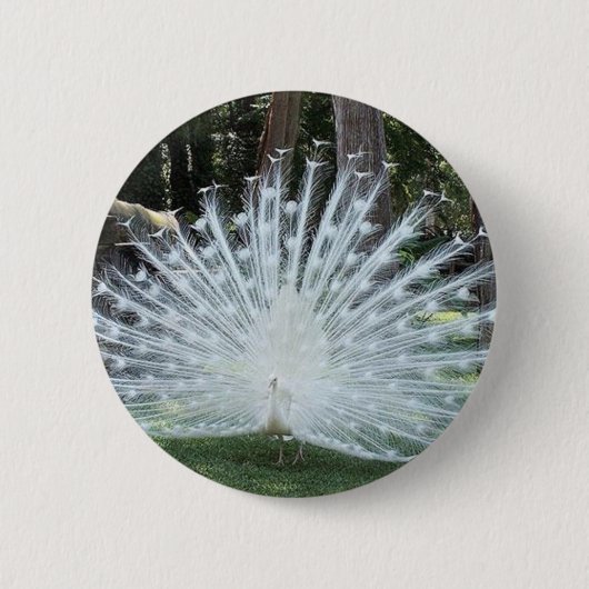 Skullyの上のおもしろい 缶バッジ (正面)