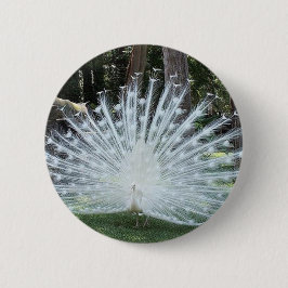 Skullyの上のおもしろい 缶バッジ