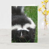 Skunkグリーティングカード カード (黄色い花)