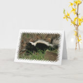 Skunk動作グリーティングカード カード (黄色い花)