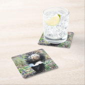 Skunk白黒 スクエアペーパーコースター (インサイチュ)