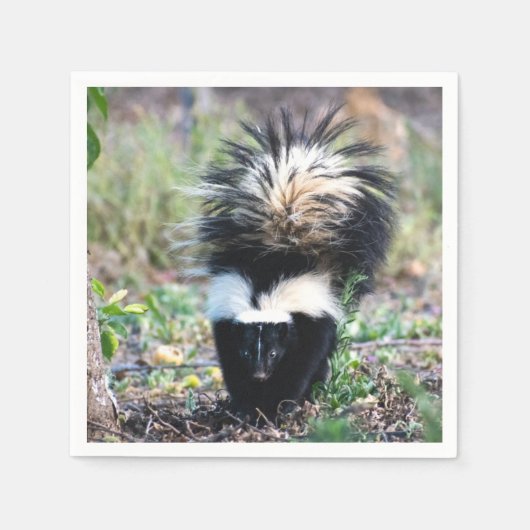Skunk白黒 スタンダードカクテルナプキン (正面)
