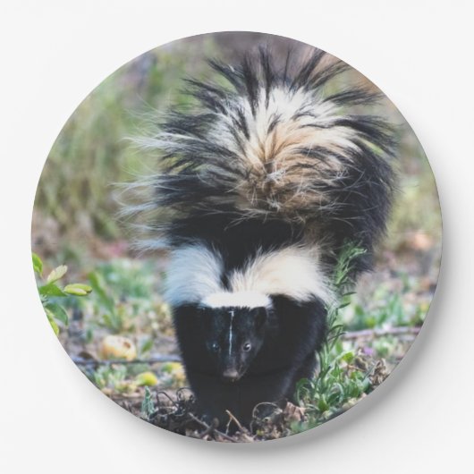 Skunk白黒 ペーパープレート (正面)