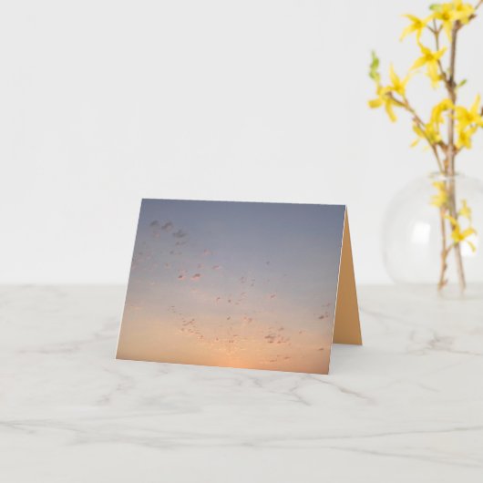 Sky Card カード (黄色い花)