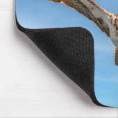 Sky Sovereign Osprey Flight Wildlife Photo Art マウスパッド (コーナー)