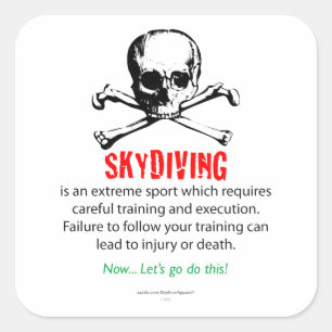 Skydivingの訓練 スクエアシール