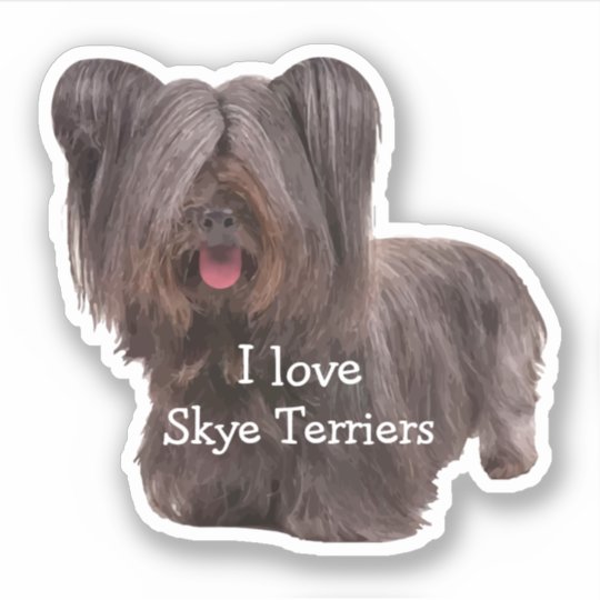 Skyeテリア犬の品種切り出し シール Zazzle Co Jp Skyeテリア犬の品種切り出し シール Zazzle Co Jp