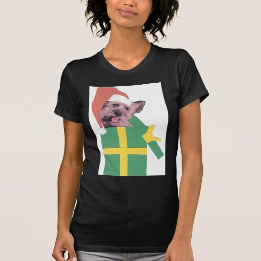Skyeテリアの緑箱 Tシャツ (正面)