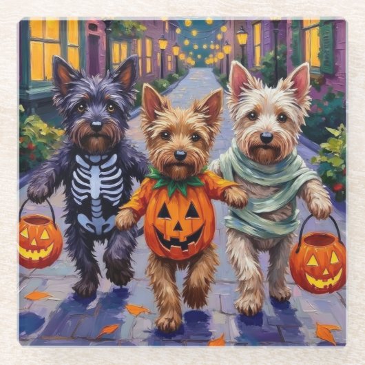 Skye Terrier Trick-or-Treating Halloween Costumes ガラスコースター (正面)