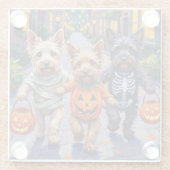 Skye Terrier Trick-or-Treating Halloween Costumes ガラスコースター (裏面)