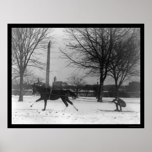 Skying Behind Horse Washington, DC 1919 ポスター (正面)