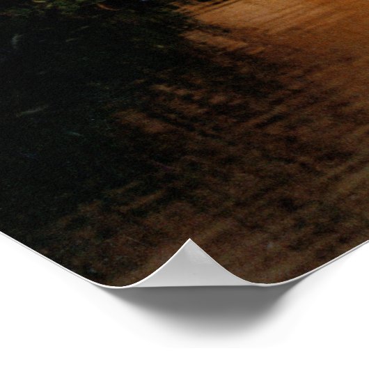 Skylab 1 Launch ポスター (角)