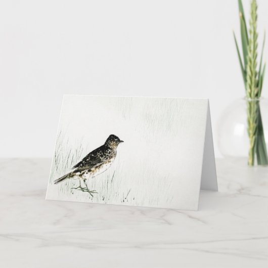 Skylark Bird, Watanabe Seitei カード (正面)
