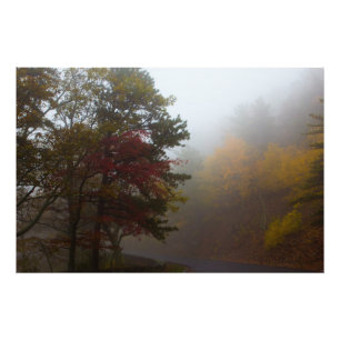 Skyline Drive,バージニア州の霧の紅葉 フォトプリント