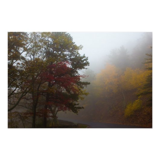 Skyline Drive，バージニア州の霧の紅葉 フォトプリント (正面)