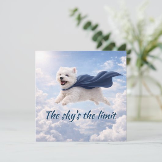 Sky's the Limit カード (スタンド正面)