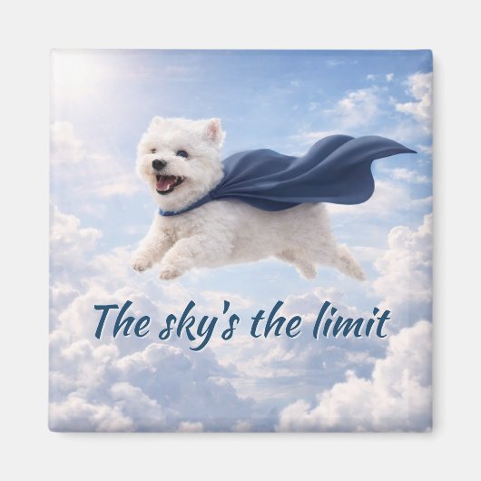 Sky's the Limit マグネット (正面)