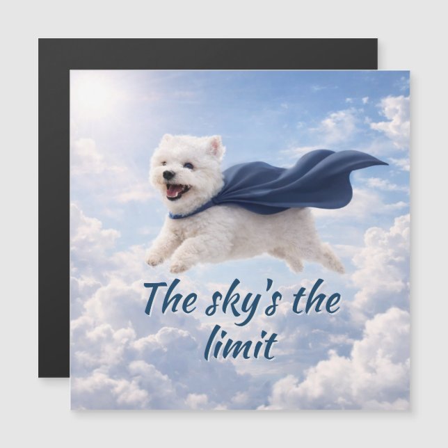 Sky's the Limit Magnetic Card (正面/裏面)