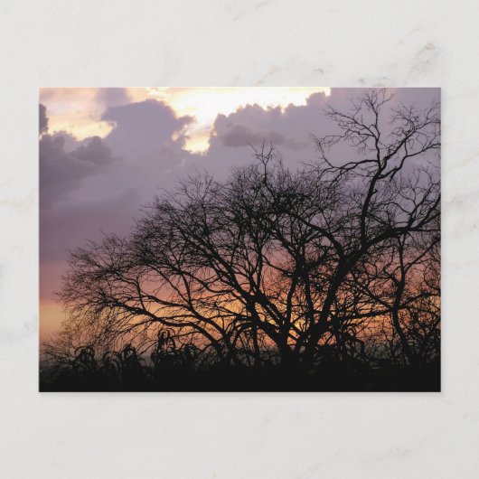 Skyscape分岐はがき ポストカード (正面)